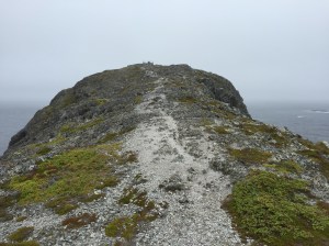 File 2015-08-10, 10 39 27 AM